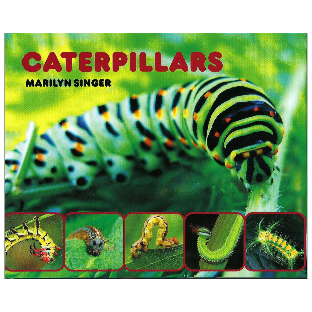 Caterpillars