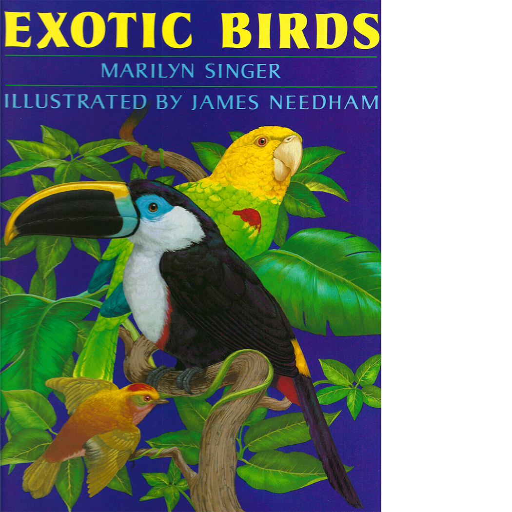 Exotic Birds
