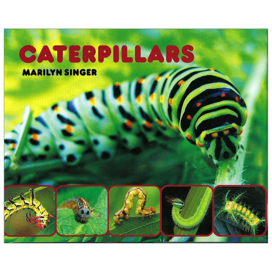Caterpillars