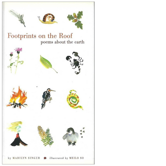 Footprints on the Roof