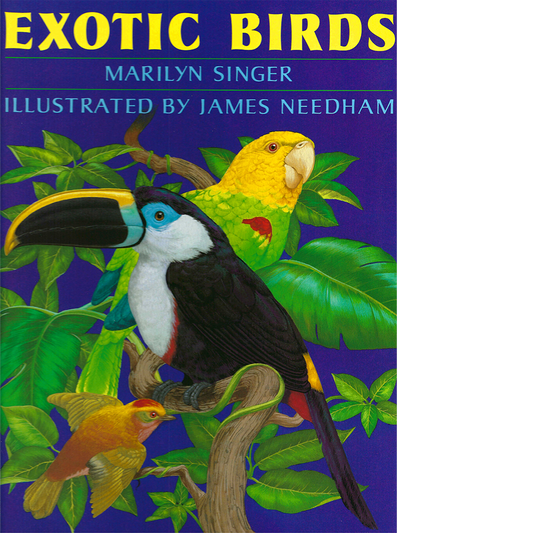 Exotic Birds